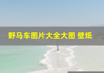 野马车图片大全大图 壁纸